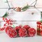Ornativity Frosted Red Berries Ornaments - Glittered White Snowflakes on Realistic Red Cranberry Berries Ball Ornament with Rustic Twine String Christmas Tree Decoration Set - Pack of 12